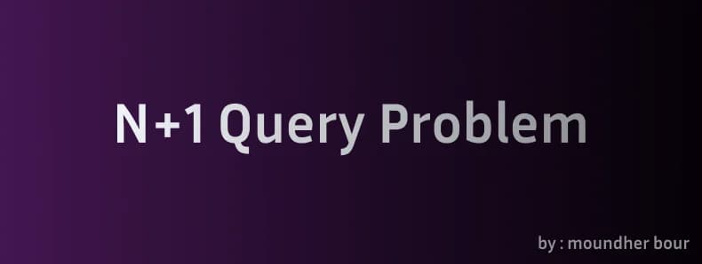 The N+1 query problem.